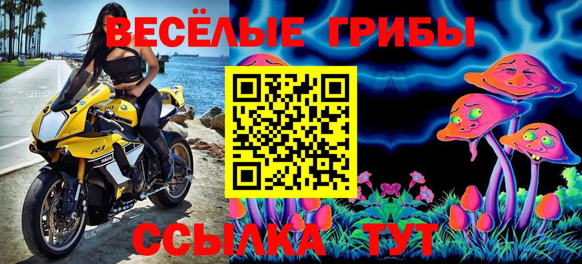 Псилоцибиновые грибы мухоморы  Вход с VPN  Новочеркасск 